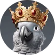 Simone_BR